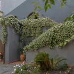 וילה A Casa Di Margherita *