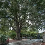 A Casa Di Margherita וילה