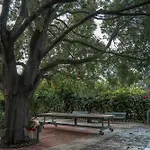 וילה A Casa Di Margherita פוצילו